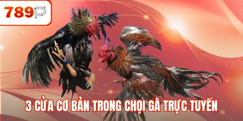 3 Cửa cơ bản trong chọi gà trực tuyến