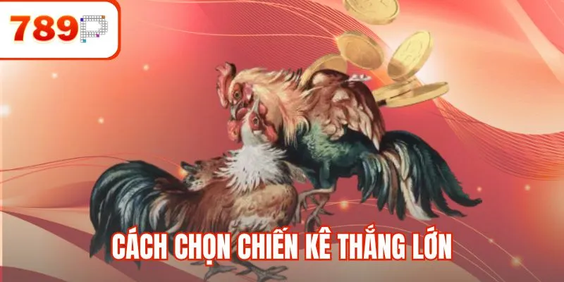 Cách chọn chiến kê thắng lớn trong mọi trận đấu