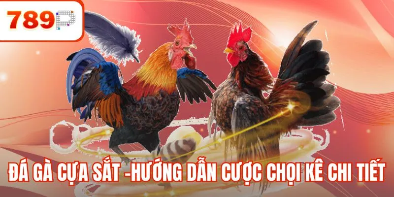 Đá Gà Cựa Sắt - Trọn Bộ Hướng Dẫn Cá Cược Chọi Kê Chi Tiết