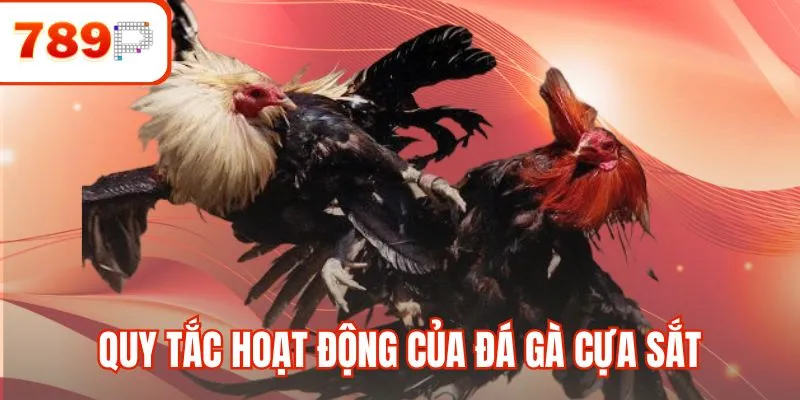 Quy tắc hoạt động của một trận đá gà cựa sắt
